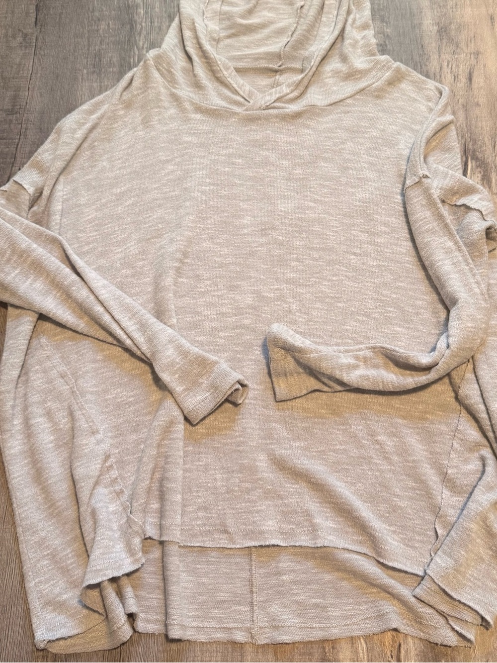 American Eagle Hooded Long Sleeve Shirt